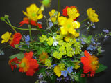 Омайниче - едно красиво цвете в букета ; comments:15