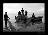 Fishermen's Effort #3 ; comments:29