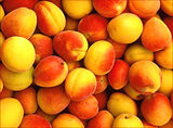 прасковки (peaches) ; comments:14