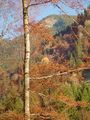 Есен в планината ; comments:34