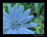 no name ( ID=401562 ) ; comments:10