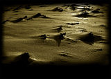 moon surface 2 ; comments:19