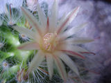 no name ( ID=410814 ) ; comments:63