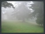 Едно мъгливо рилско утро... ; comments:23