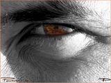 eye see you....... ; comments:5