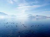 Lake Zug, Switzerland ; comments:38