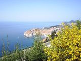 Dubrovnik ; comments:10