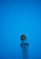 миг от живота на...медузата ; comments:6