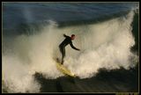 surfer ; comments:15