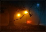 нощ-разходка-парк-мъгла ; comments:20