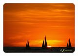 Sunset Sailing ; comments:41