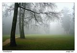 Мъглата в парка ; comments:50