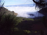Postales:Sea of clouds ; comments:13