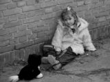 Girl and Cat ; comments:8