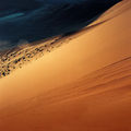 Domain of the Desert/ Kodak Portra 160 NC ; comments:34