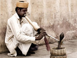 The snake-charmer II ; comments:65