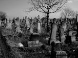 За културата на един народ съдим по отношението му към мъртвите...(гробищата в България) ; Comments:47