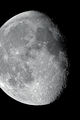The Moon ; comments:10
