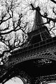 La Tour Eiffel ; Коментари:17