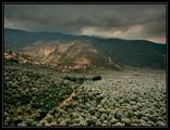 маслинови гори ; Коментари:44