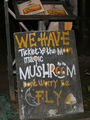 magic mushrooms restaurant ; comments:3