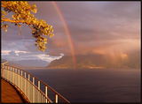 - Rainbow - ; comments:80