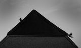 За пирамидите и свраките ; comments:4