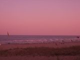 Pink Beach ; comments:5