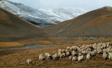 tibet ; comments:29