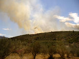 Пожар в Гърция 07.09.07 ; comments:4