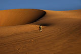 The Namib desert IX ; comments:84