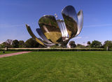 Floralis Generica ; comments:33