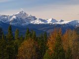 Есен в Jasper National Park - 2 ; comments:14