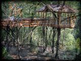Tree House ; comments:23