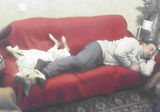 Само един диван не е достатъчен... ; comments:6