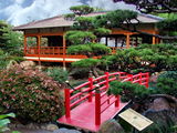 Японска градина ; comments:6