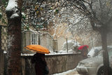цветовете на зимния град :) ; comments:23