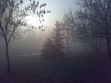 December fog ; Коментари:6
