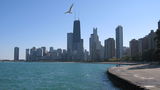 Chicago&#039;s Skyline - all so beautiful ; comments:6