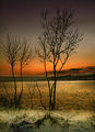 winter sunset over Varna port ; Коментари:59