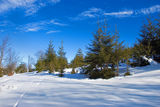 Winter Landscape ; Коментари:5