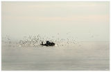 Рибарско утро в Бяло море ; comments:33