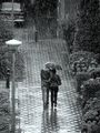 kiss the rain ; comments:60