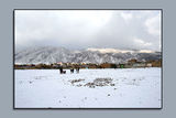 MY FIRST PHOTO FROM SNOW OF QUETTA CITY.. ; Коментари:5