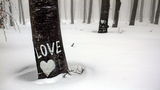 любовта е навсякъде ; comments:40