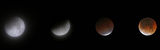 Full Lunar eclipse-21.02.2008 ; comments:12