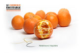 Orange : the remake ; comments:22