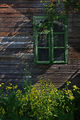 селски прозорец ; comments:3