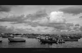 Александрийското пристанище ; comments:35