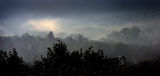 мъгливо утро в с. Мадара-2 ; comments:3